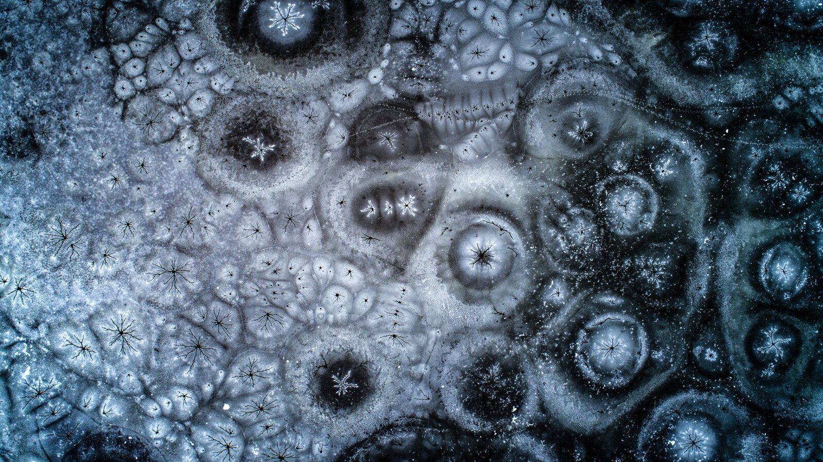 Be Massive Horizon - Veszprém